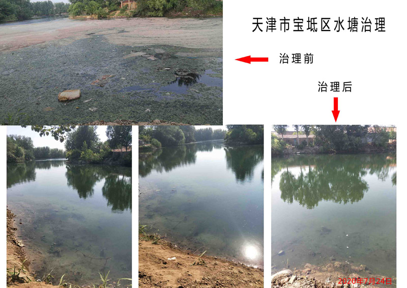 天津市寶坻區水塘治理
